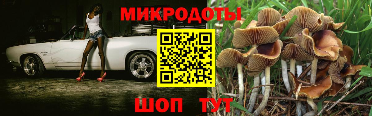Галлюциногенные грибы мухоморы Каменск-Уральский